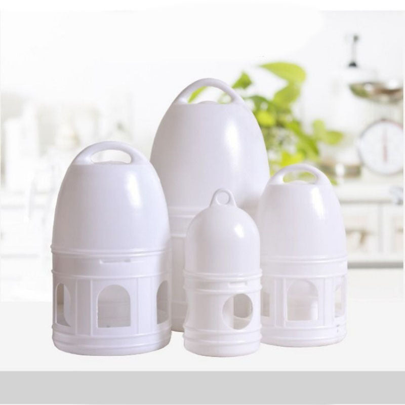 Bird Feeders
