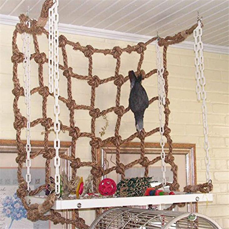 Bird Toys