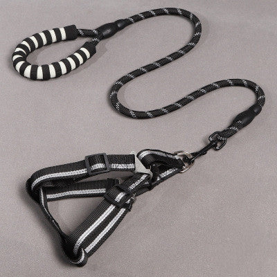 Pet Leashes