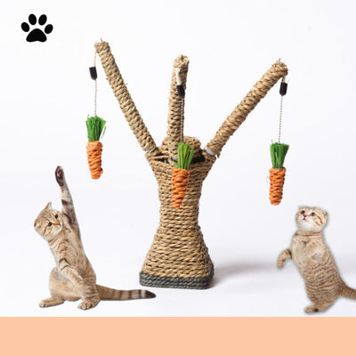 Cat Trees & Condos