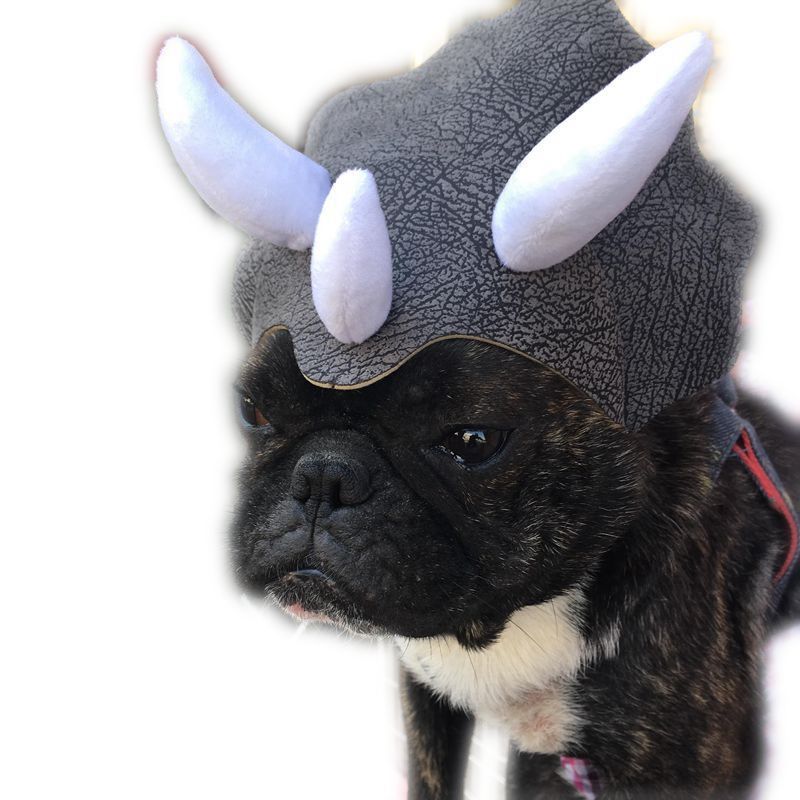 Pet Headwears