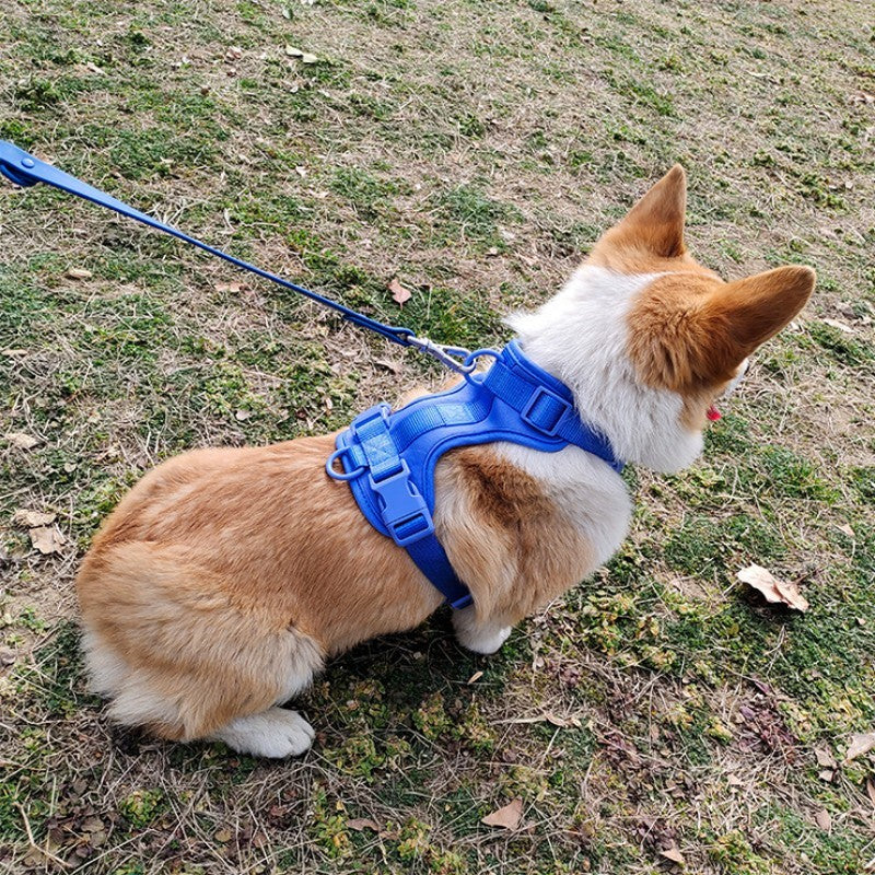 Pet Harnesses