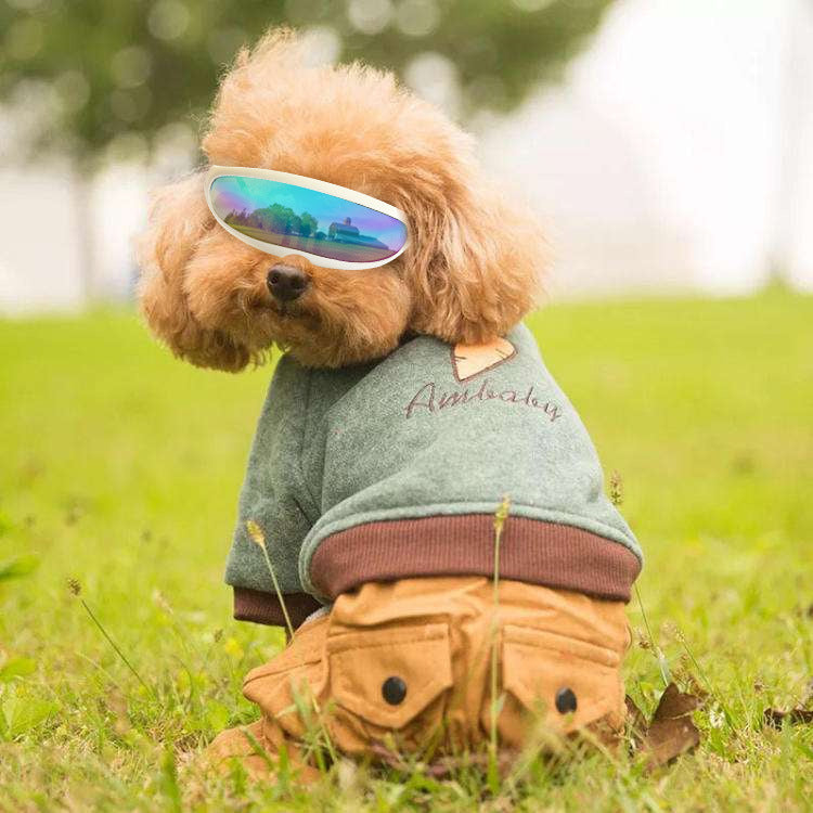 Pet Glasses