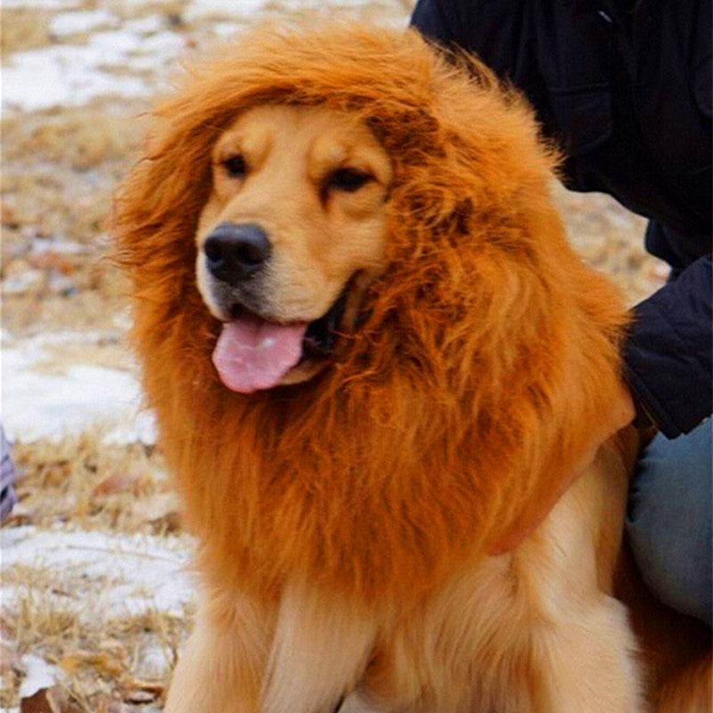 Pet Hair Accessories