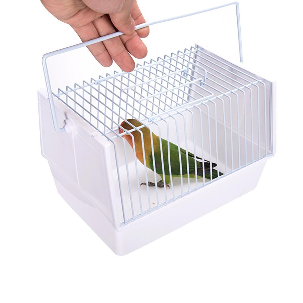 Bird Cages