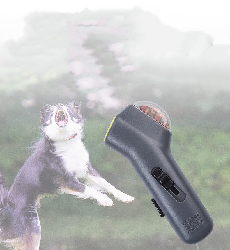 Pet Chase Toys