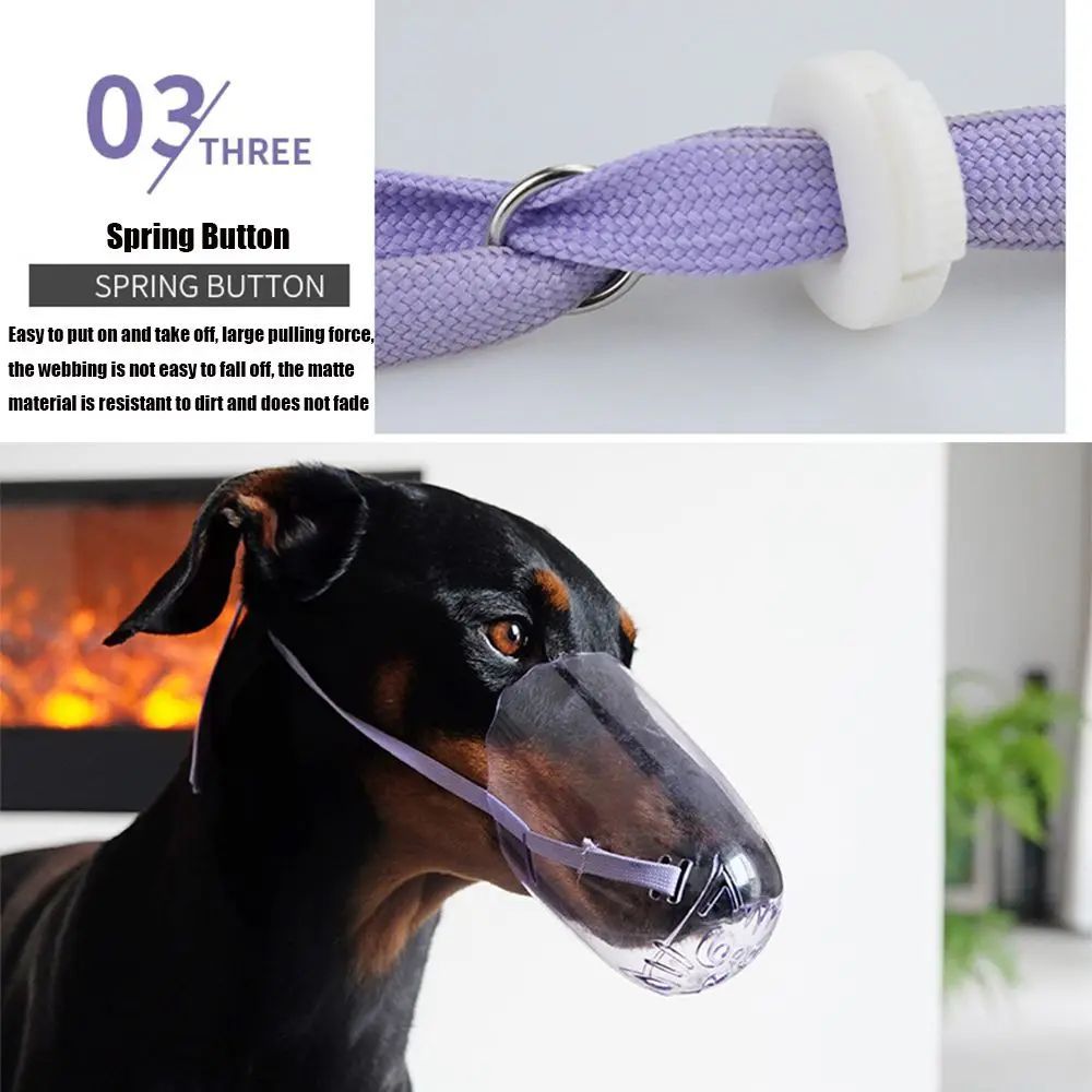 Pet Groomings