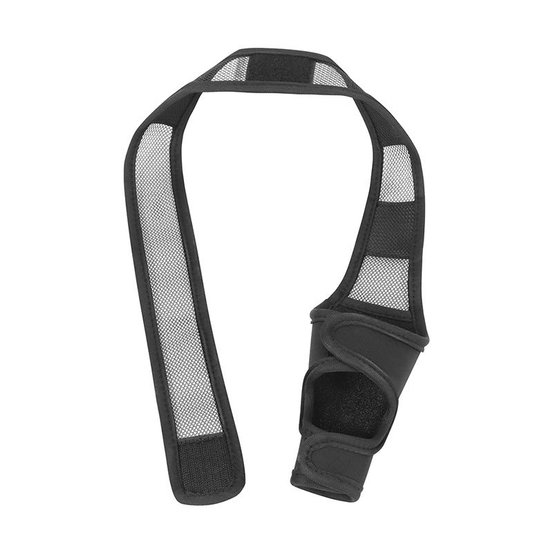 Pet Seat Belts
