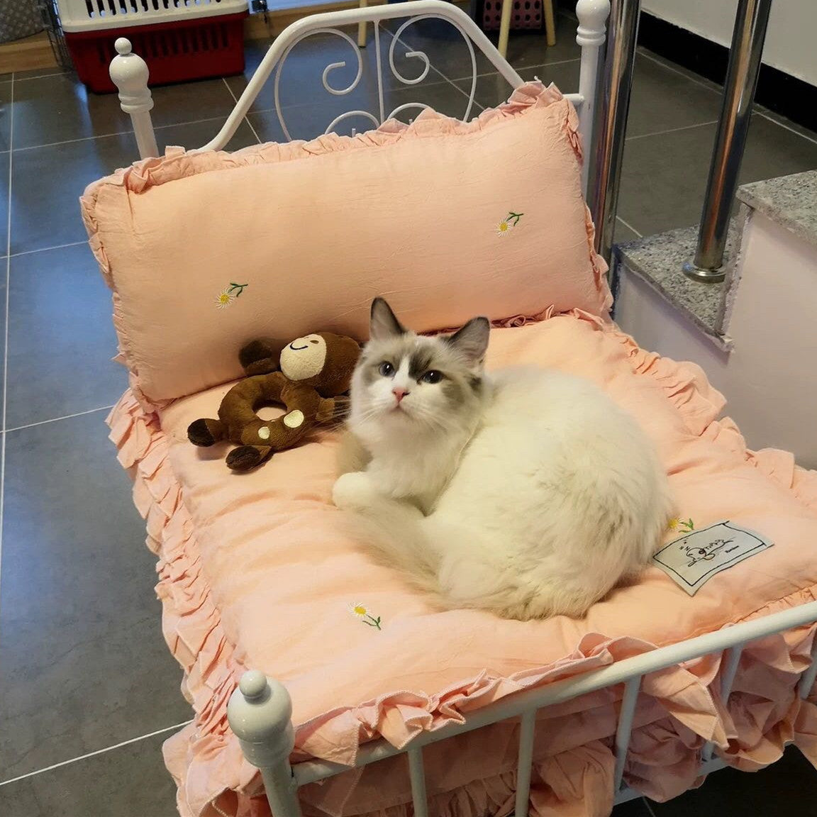 Pet Bedding