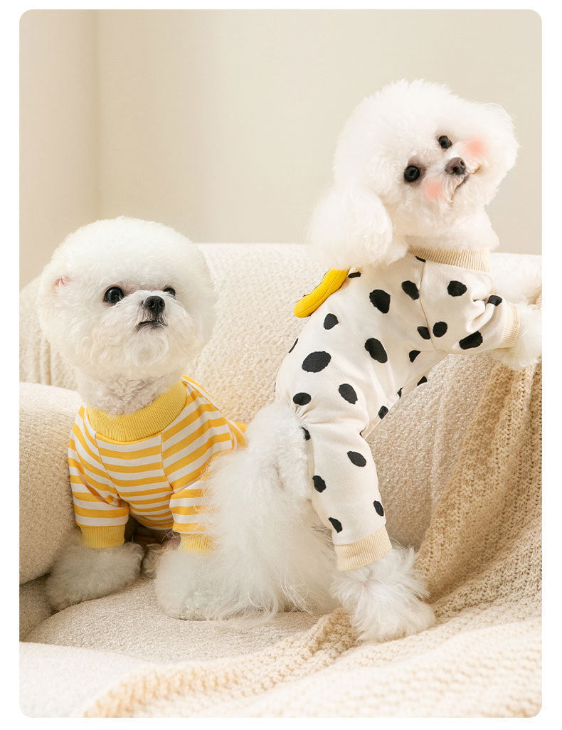 Household Fashion Object Cat Clothes