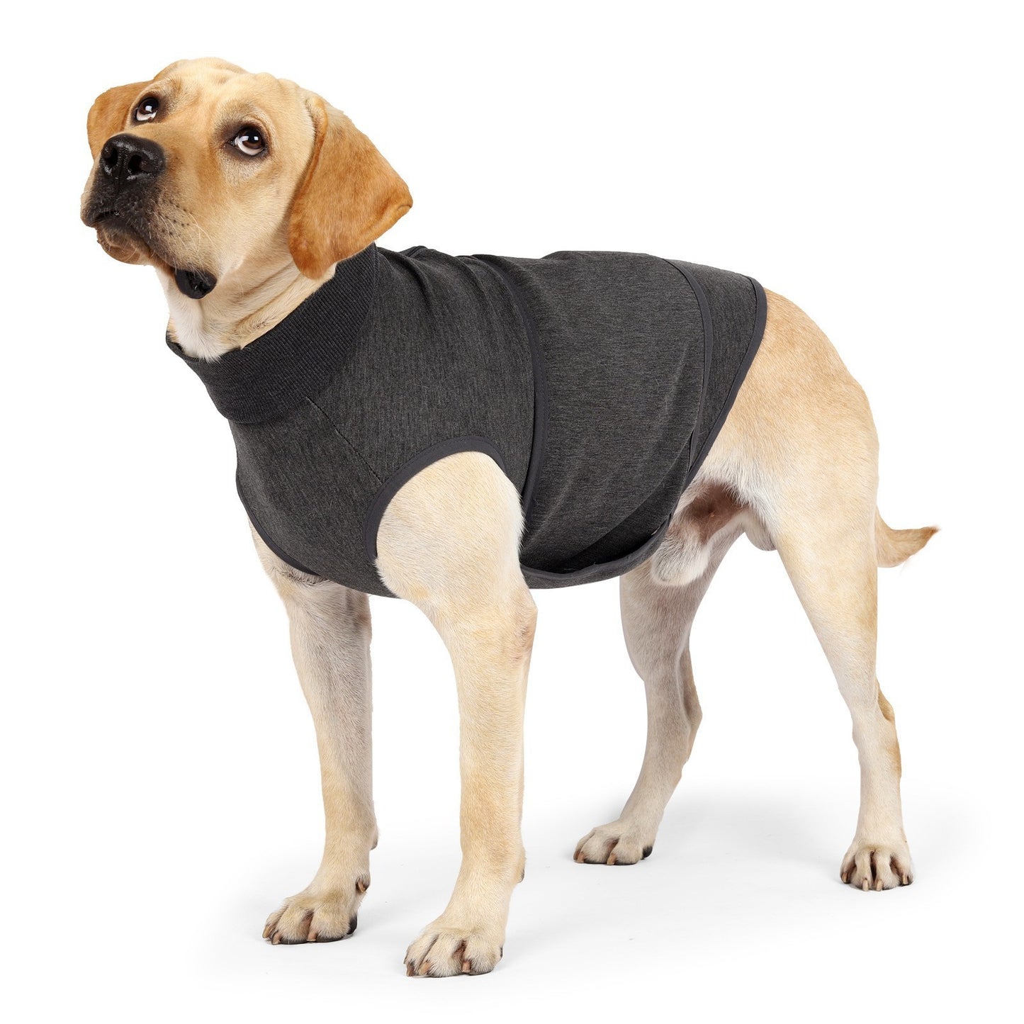 Pet Polyester Emotional Comfort Cotton Double Jacket Clothes