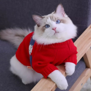 Autumn And Winter Sweaters For Anti Shedding Kittens And Pet