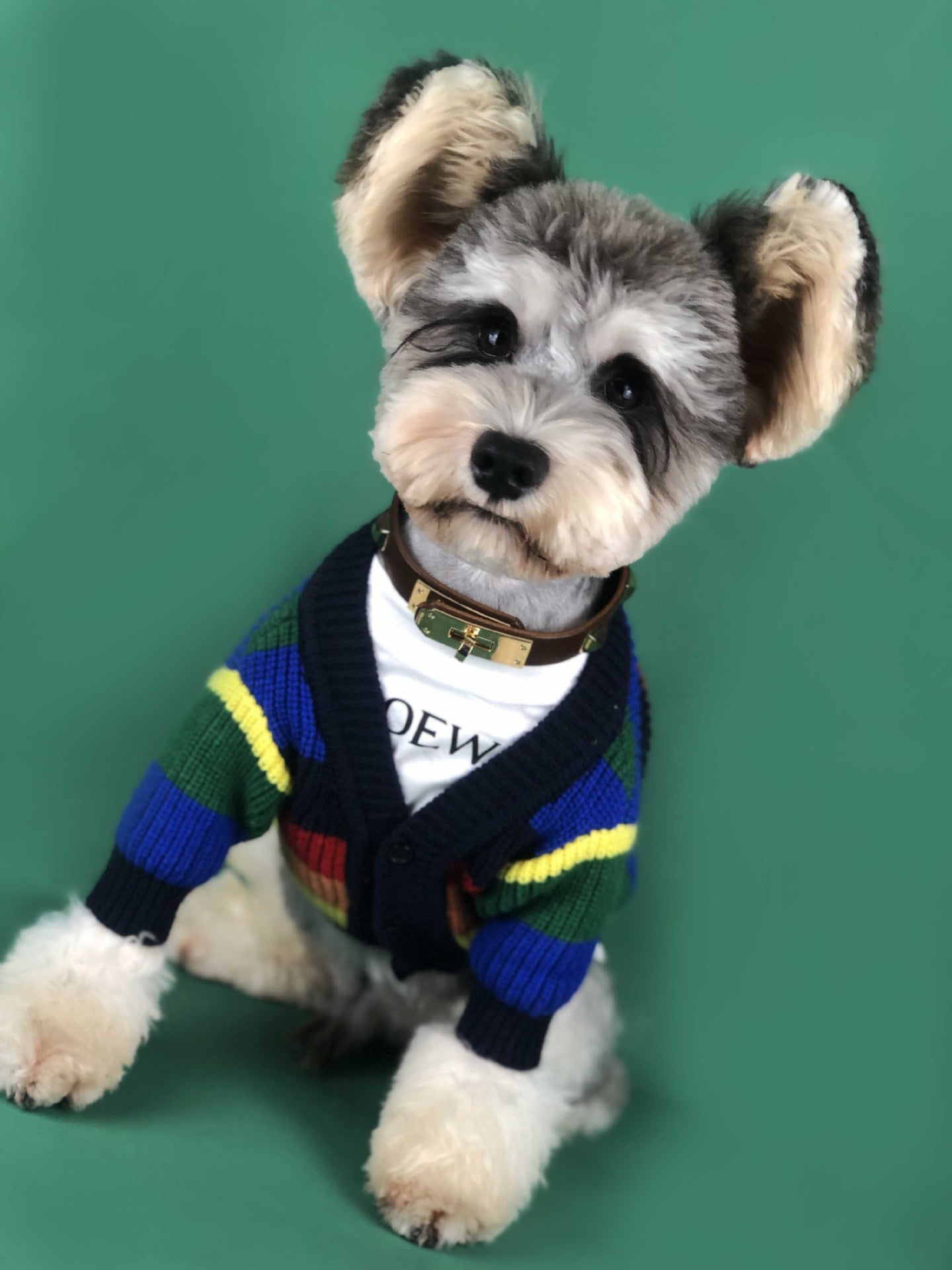 Dog Rainbow Striped Cardigan