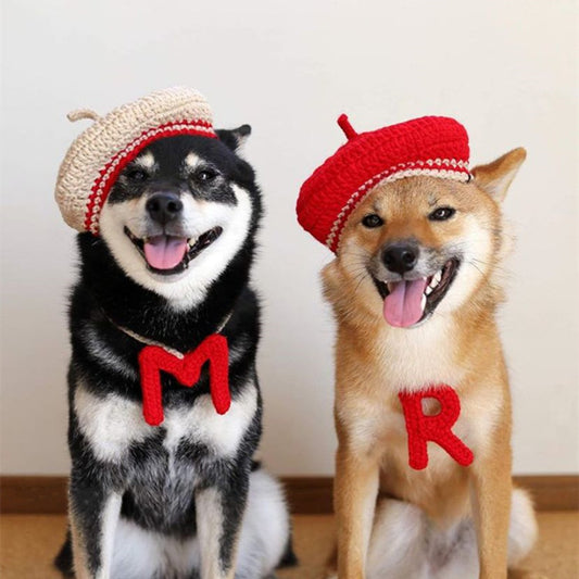 DIY Mini Mixed Color Hand-knitted Beret Cute Pet