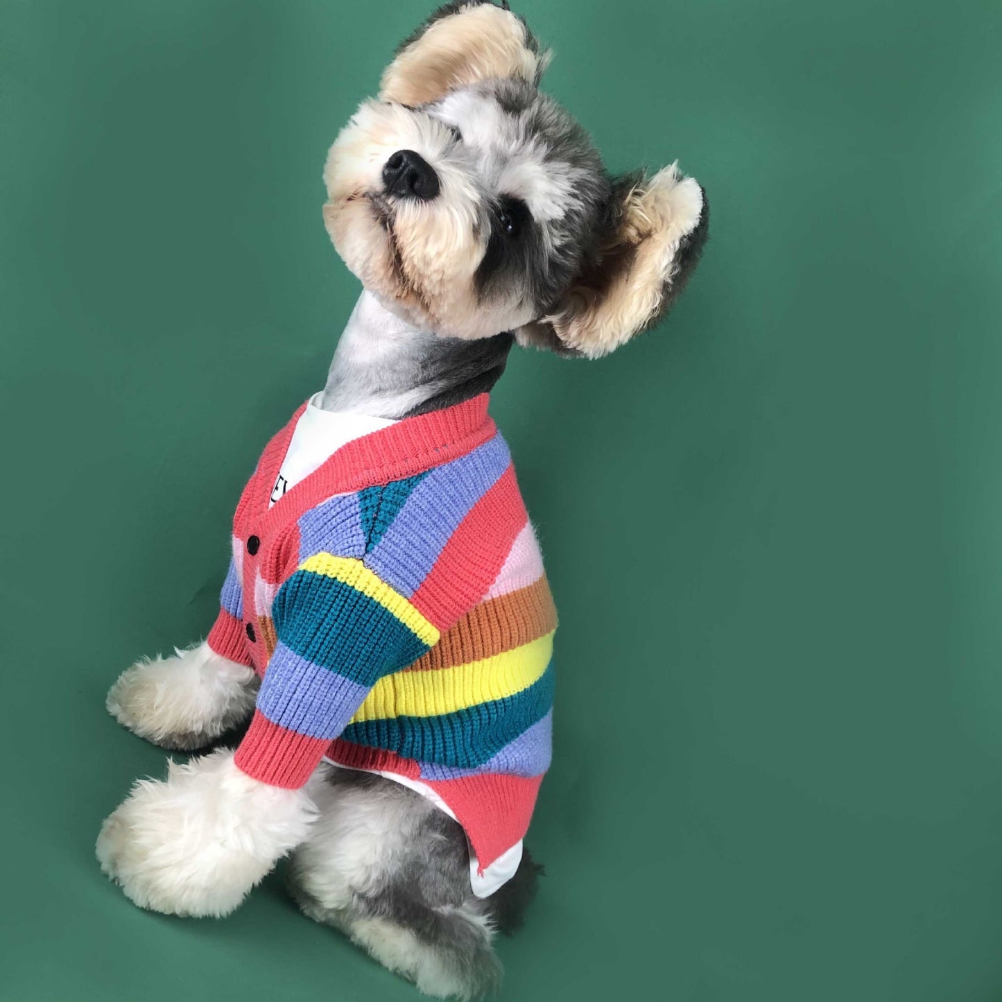 Dog Rainbow Striped Cardigan