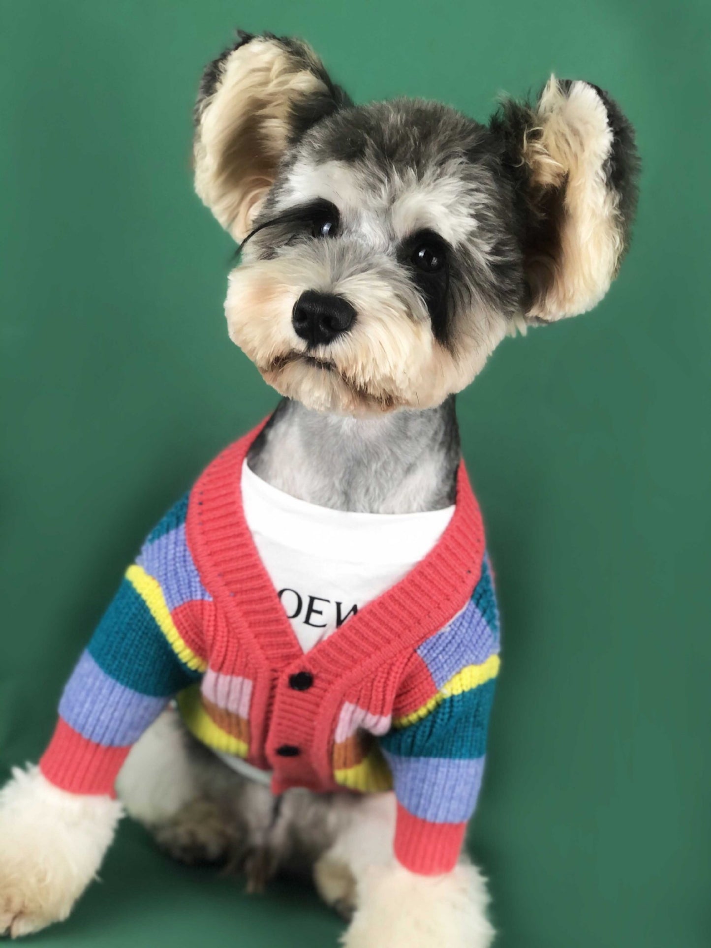 Dog Rainbow Striped Cardigan
