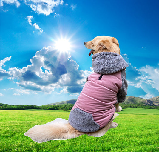 Detachable Pet Clothes Double-sided Dog Clothes