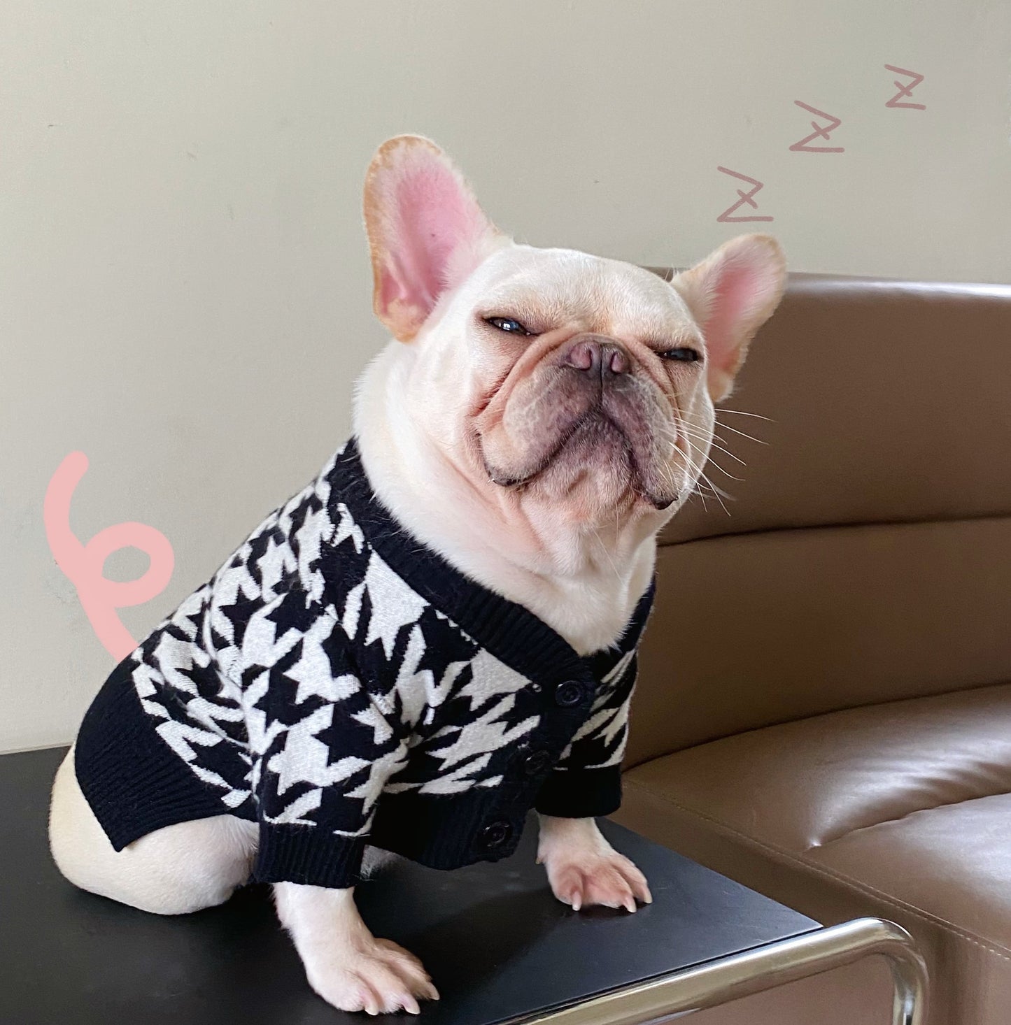 Pet Tide Brand Net Red Clothes Dog Cat Fighting Teddy Schnauzer Net Red Puppy Fall Winter Sweater Sweater