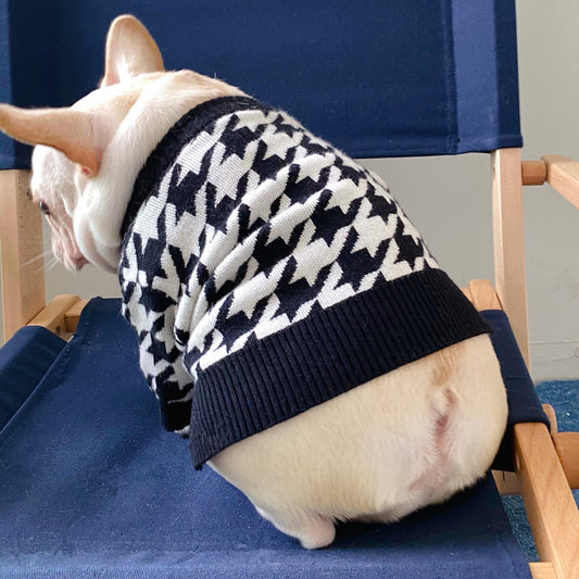 Pet Tide Brand Net Red Clothes Dog Cat Fighting Teddy Schnauzer Net Red Puppy Fall Winter Sweater Sweater