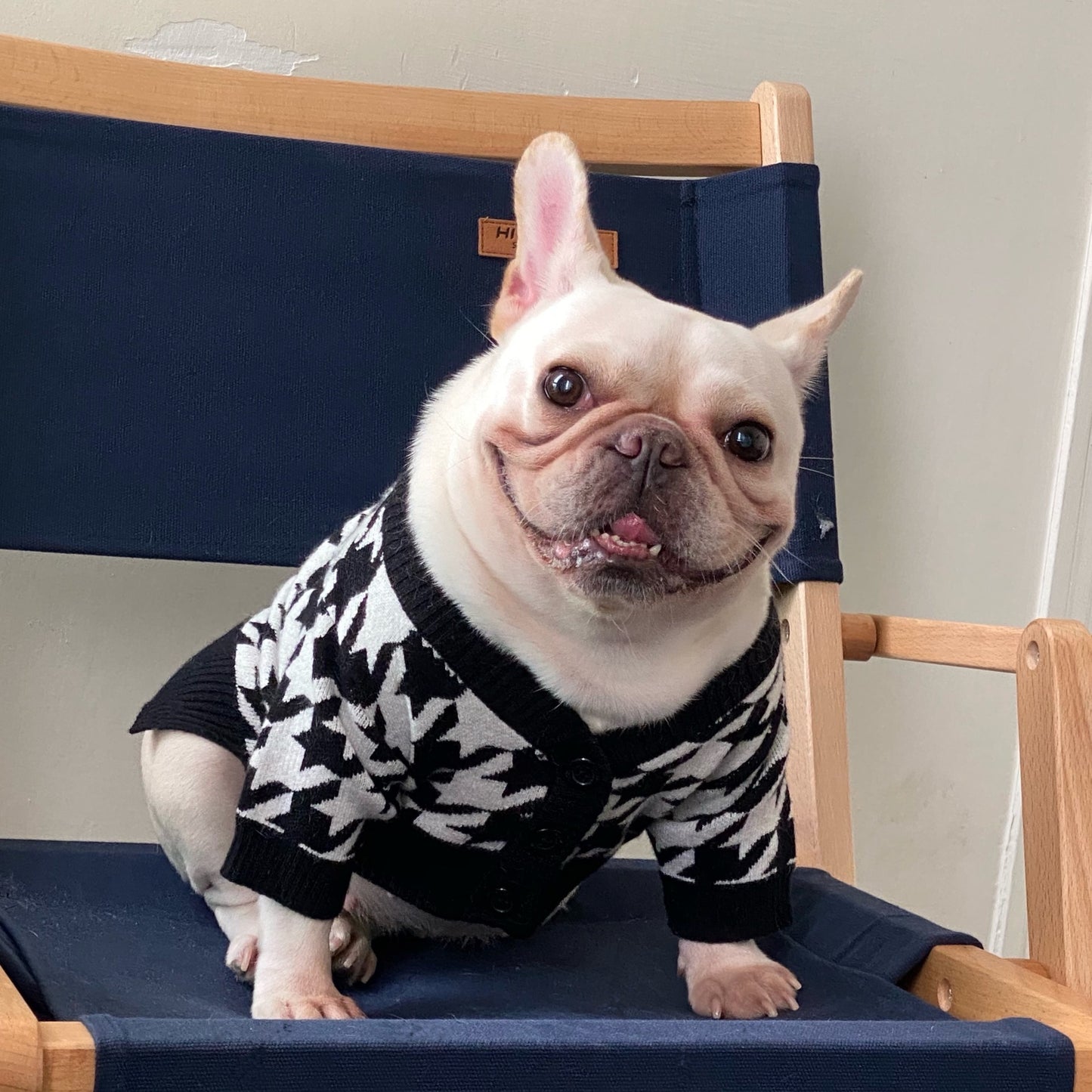 Pet Tide Brand Net Red Clothes Dog Cat Fighting Teddy Schnauzer Net Red Puppy Fall Winter Sweater Sweater