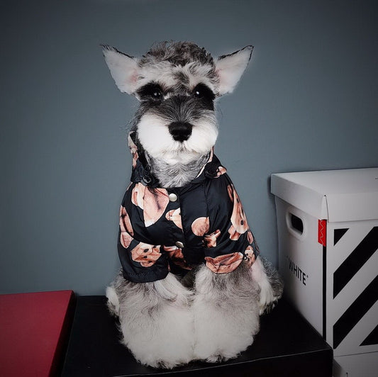 Net Red Puppy Autumn And Winter Raincoat