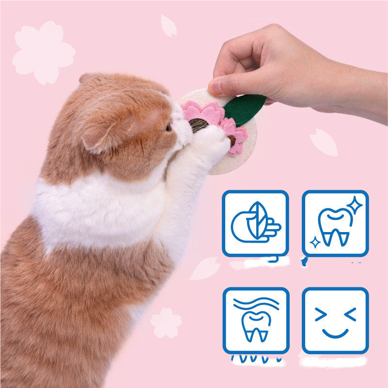 Sakura Fruit Cat Mutian Polygonum Teething Stick Catnip Kitten Teeth Cleaning Toy