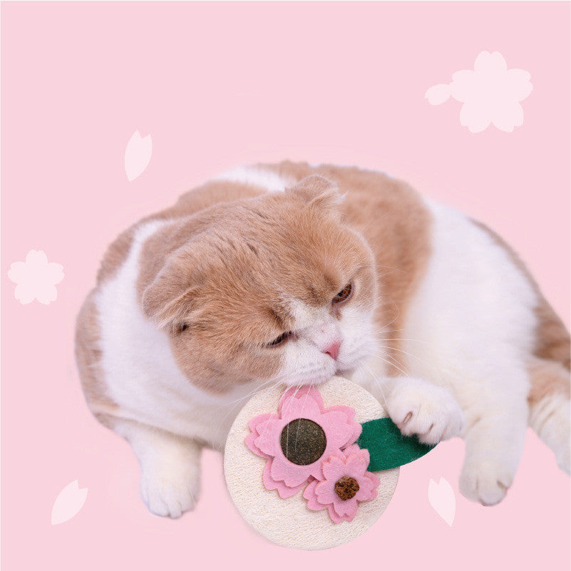 Sakura Fruit Cat Mutian Polygonum Teething Stick Catnip Kitten Teeth Cleaning Toy