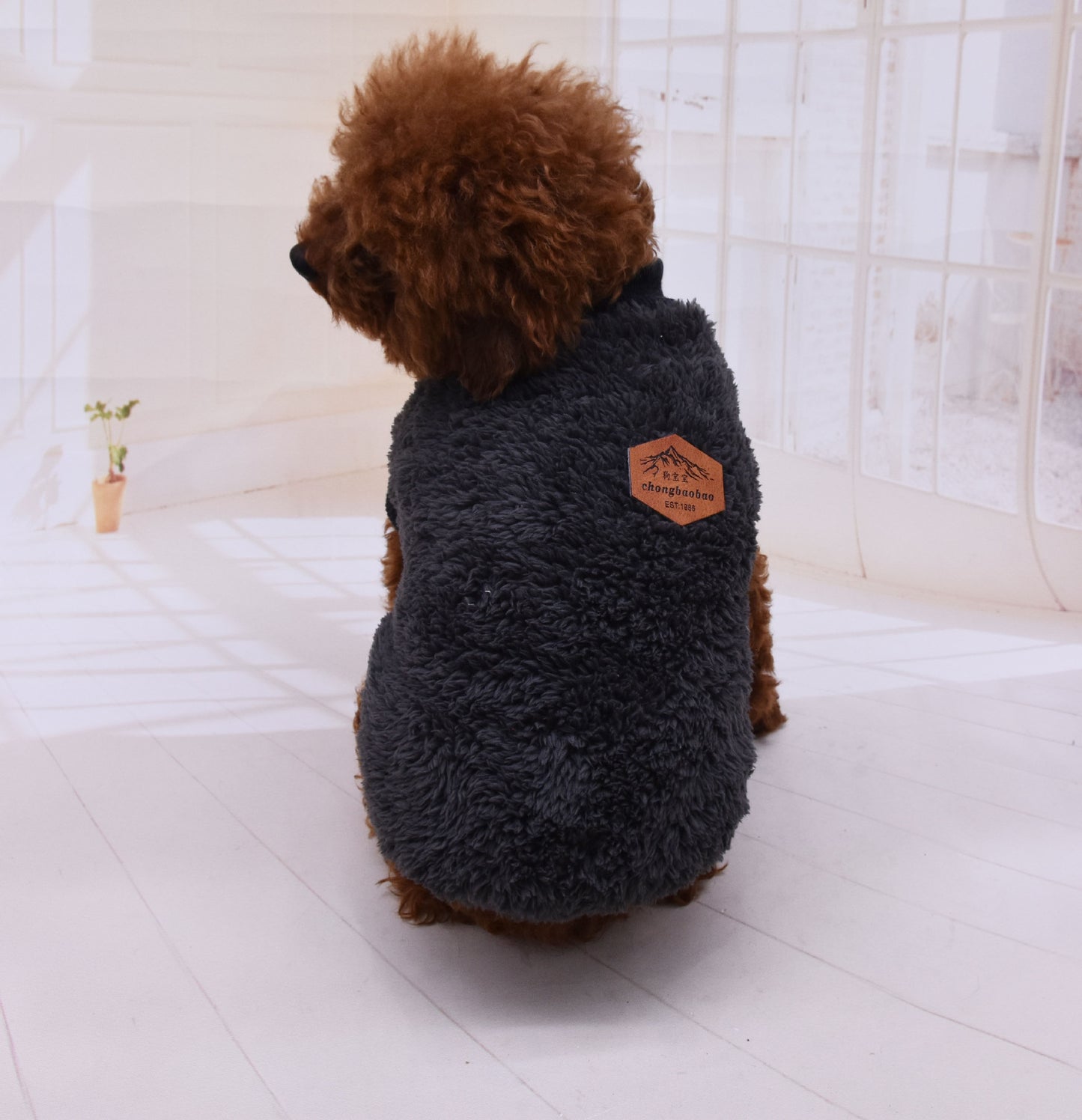 British velvet jacket pet clothes