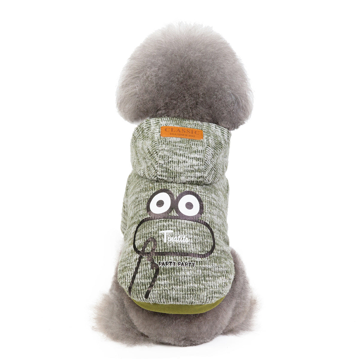 Teddy dog clothes