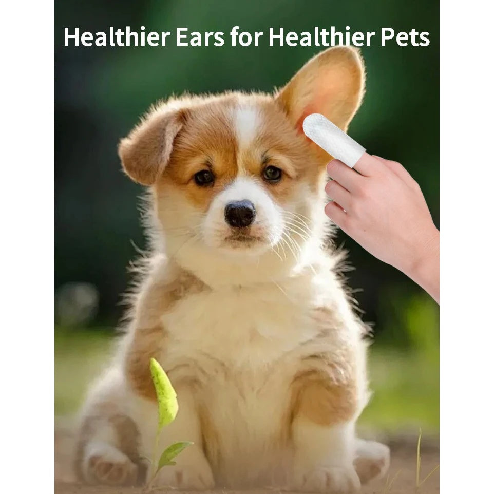 Pet Cleaning Products Eye Wipes To Remove Tear Marks Cleaning Wet Tissues Cat Wiping Eyes Removing Tear Marks And Cleaning Pet