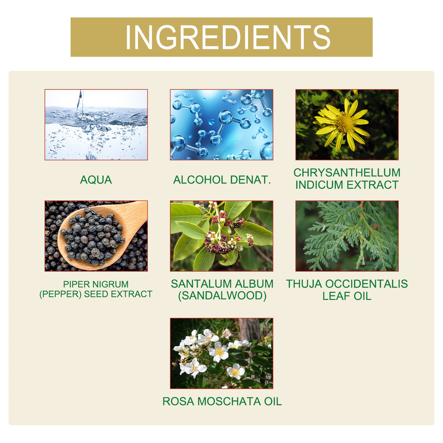 Charm Perfume Natural Fresh Niche Lasting Fragrance Portable Couple Dating Atmosphere Perfume