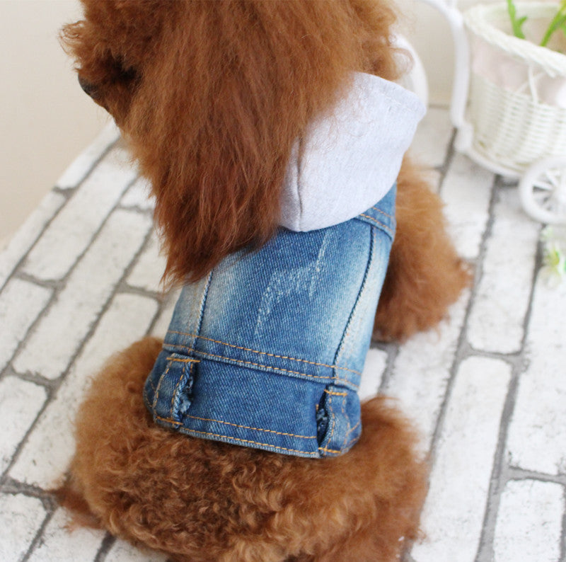 Summer Bichon Hooded Cowboy