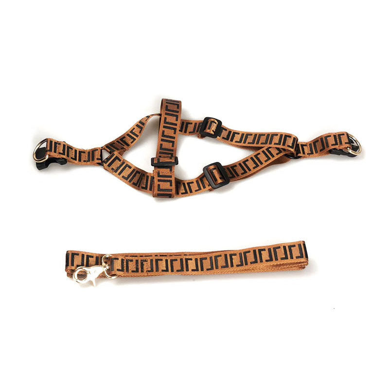 Pet Fashion Brand Dog Leash Collar