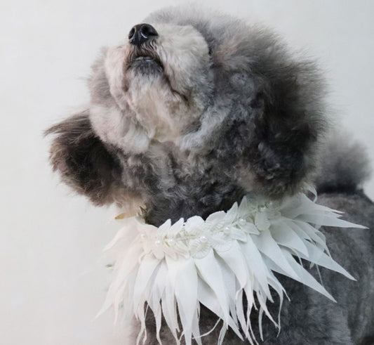 Hula Style Pet Collar  Dog Saliva Towel Bib