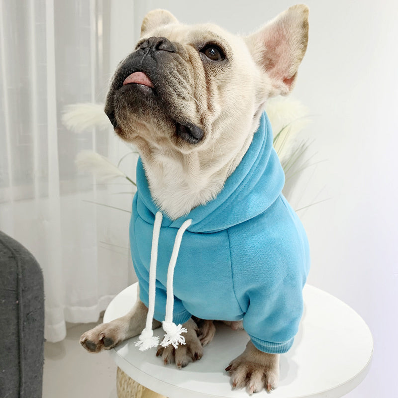Pet with fleece hoodie