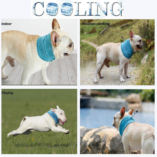 Law Fighting Collar Supplies Triangle Towel Cooling Summer Heatstroke Cat British Cattle Pet Cool Scarf