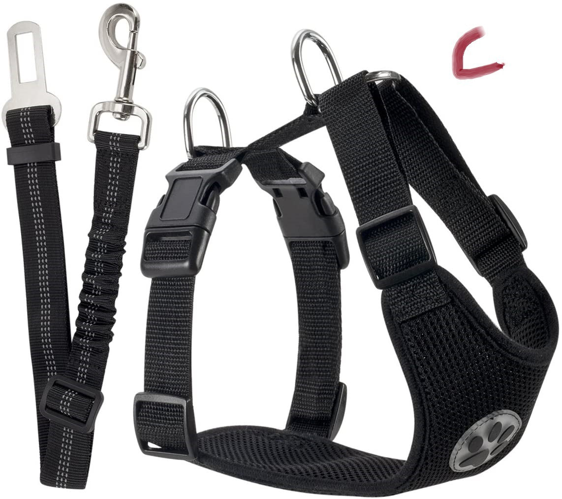 New Pet Reflective And Breathable Dog Rope