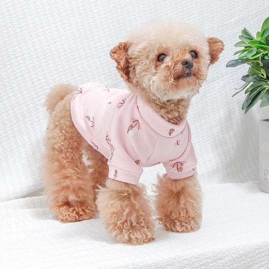 Young autumn and winter small dog pet clothes