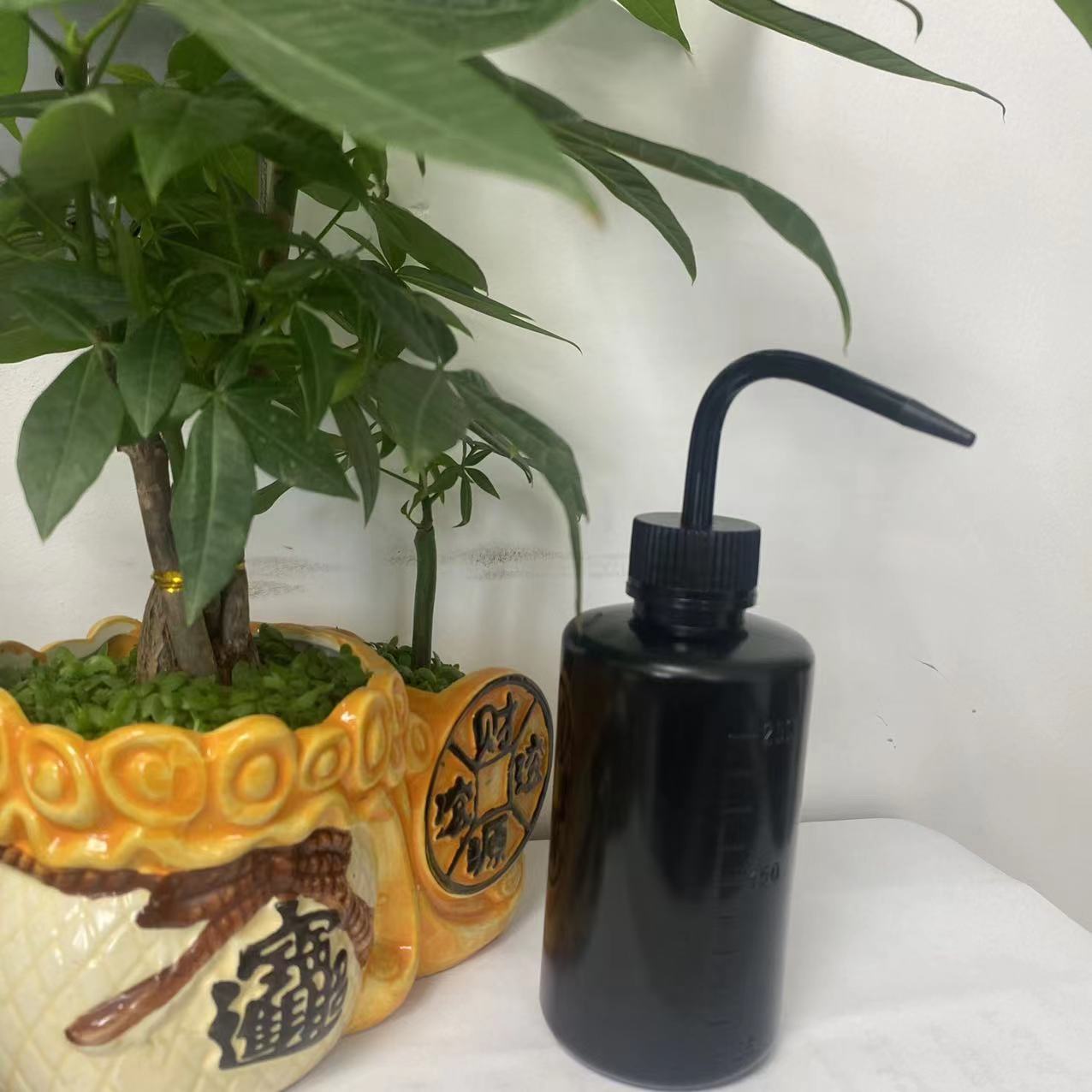 Spot 250ml squeeze watering can watering can