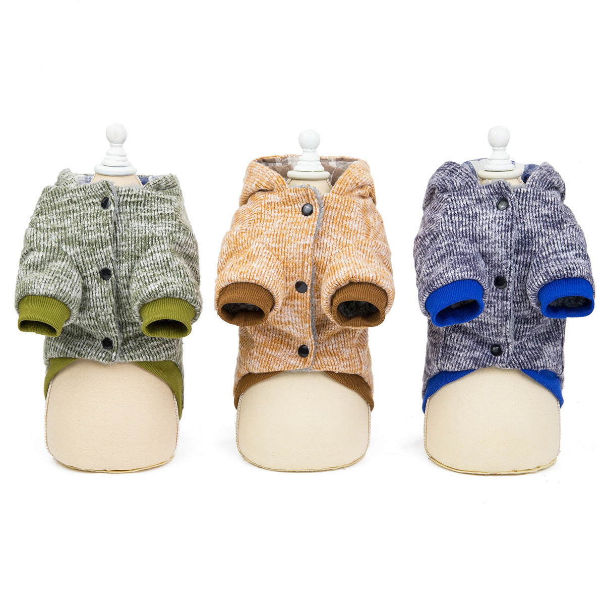 Teddy dog clothes