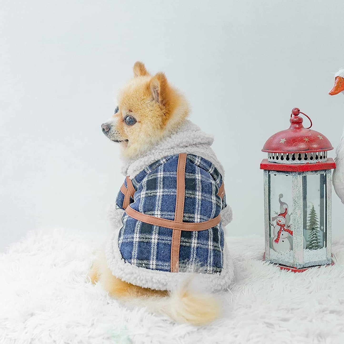 Pet Two Legged Clothes Autumn And Winter Plaid Warm Lamb Velvet