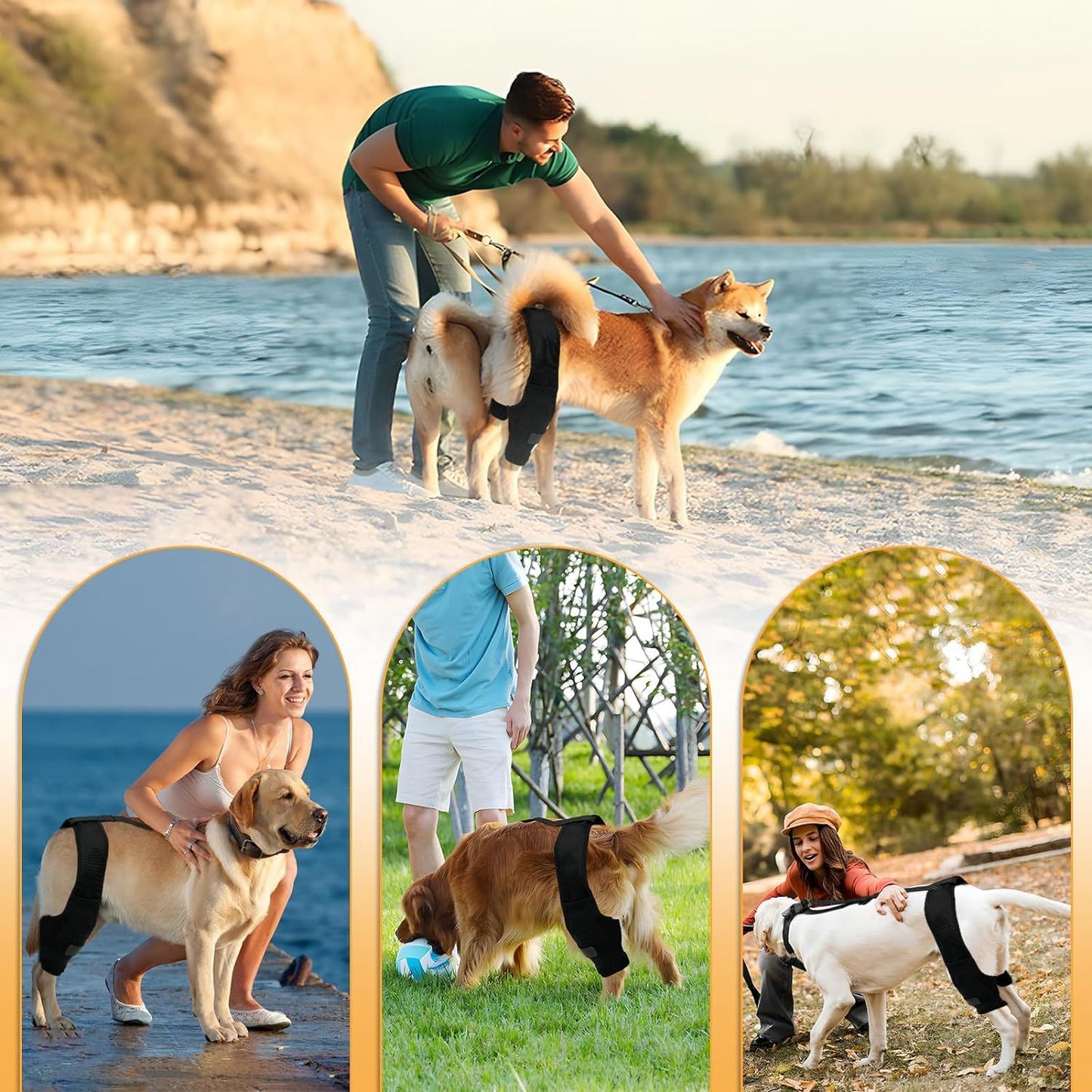 Leg Protector For Dogs Knee Brace Auxiliary Belt Joint Protection Pet Supplies Great Deal
