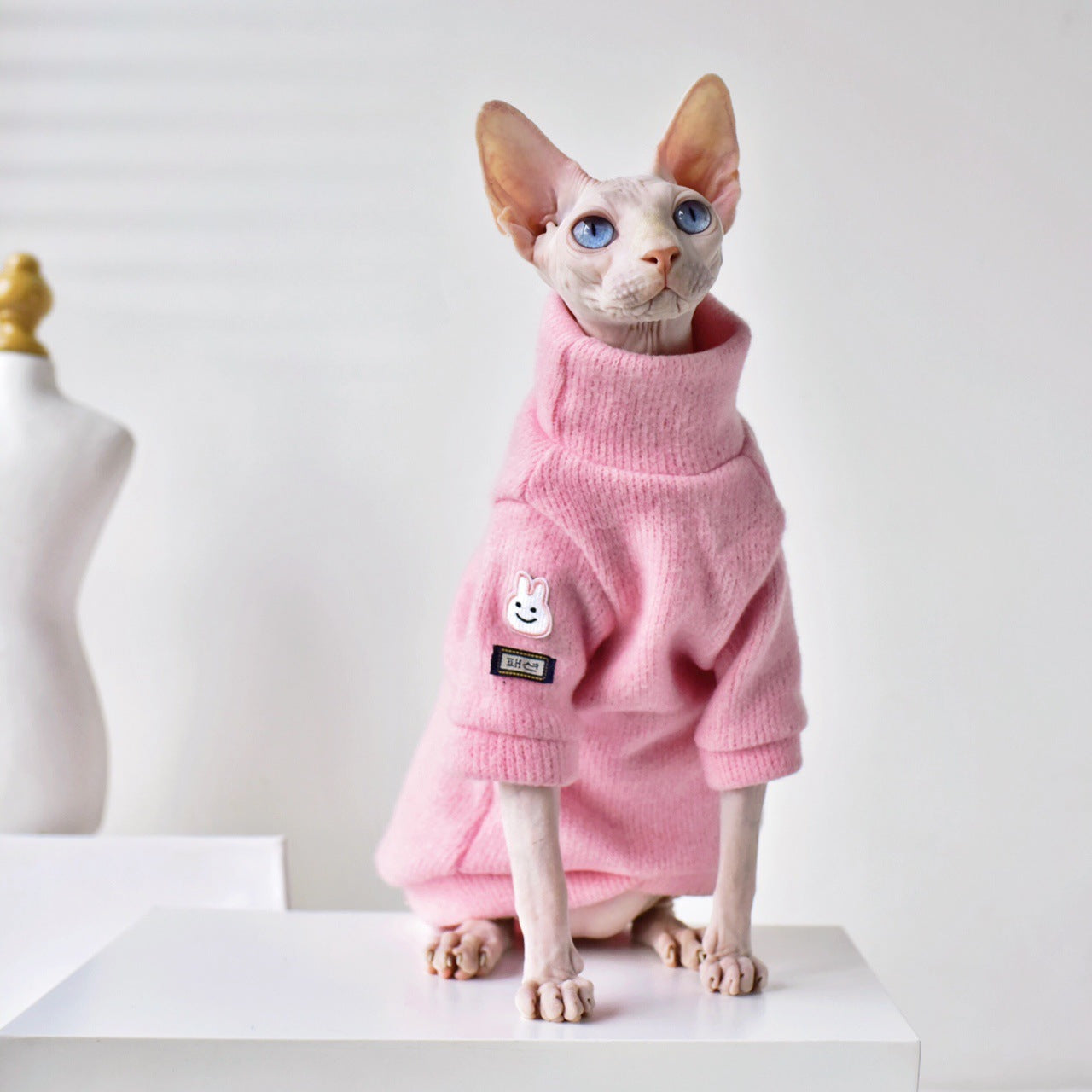 Thickened Warm Hairless Cat Coat In Winter