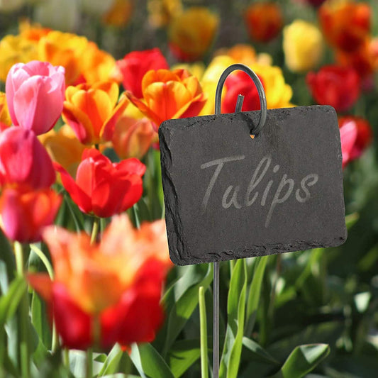 Black Slate Plant Label   Sign