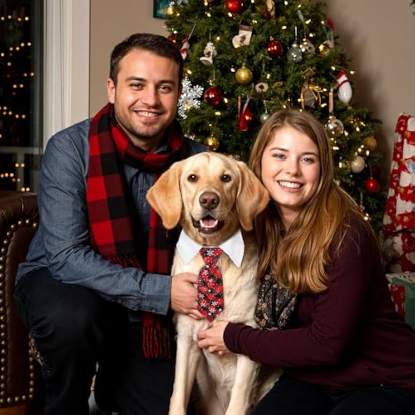 Christmas Dog Necktie, Adjustable Winter Snowflake Pattern Pet Tie Collar With Red Plaid For Small Medium Cat Dog Christmas Weddings Pet Tuxedo Outfit Decoration