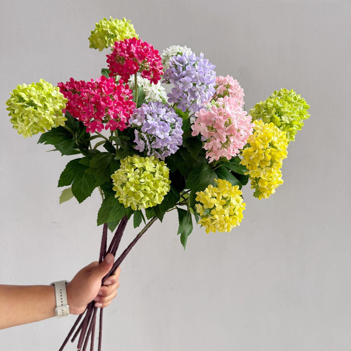 Flowers Hydrangeas SnowballsSmall  Home Furnishings