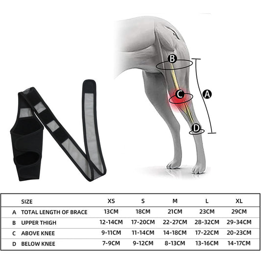 Pet Dog Front And Rear Leg Fracture Fixed Protective Gear