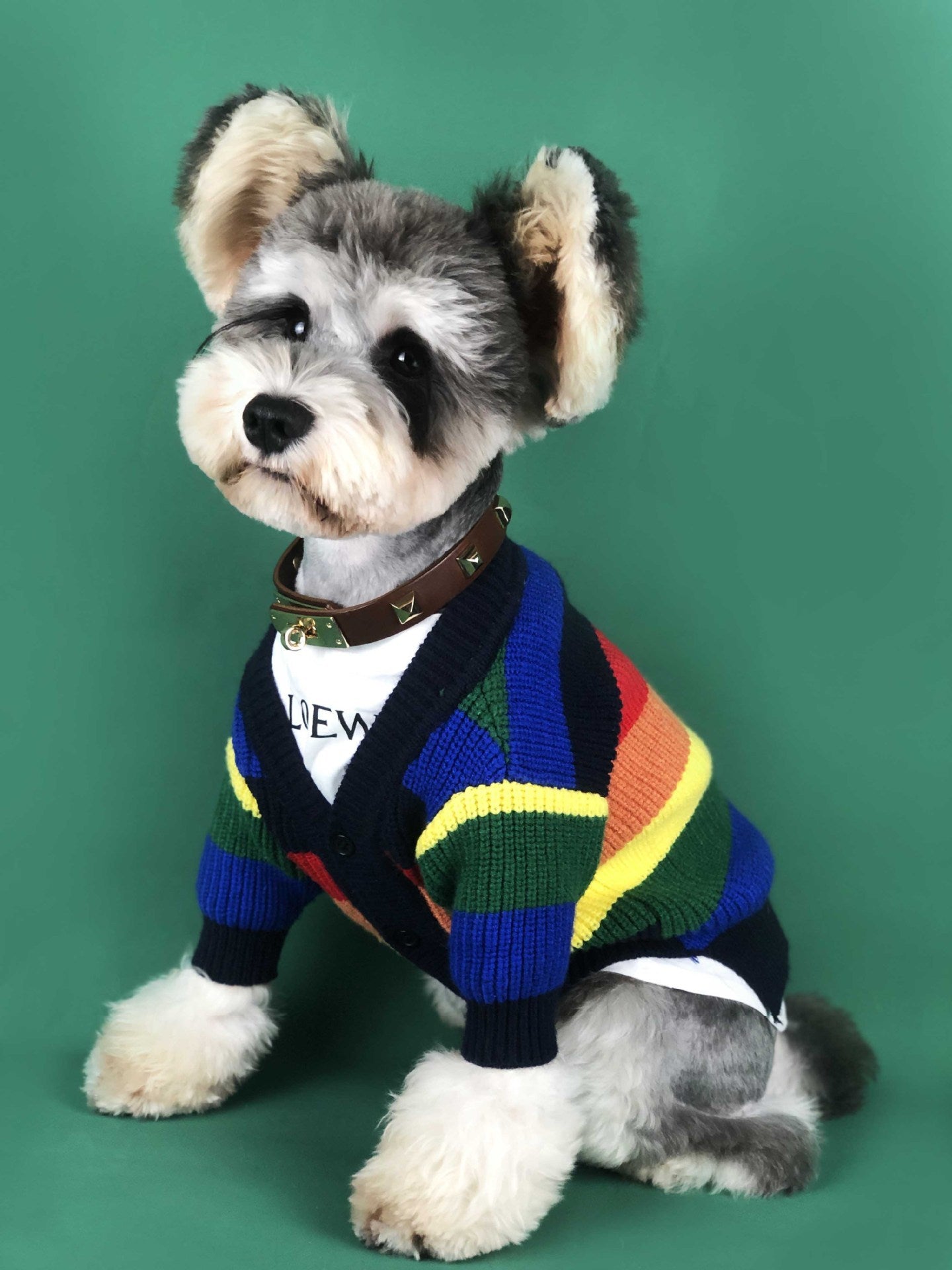 Dog Rainbow Striped Cardigan