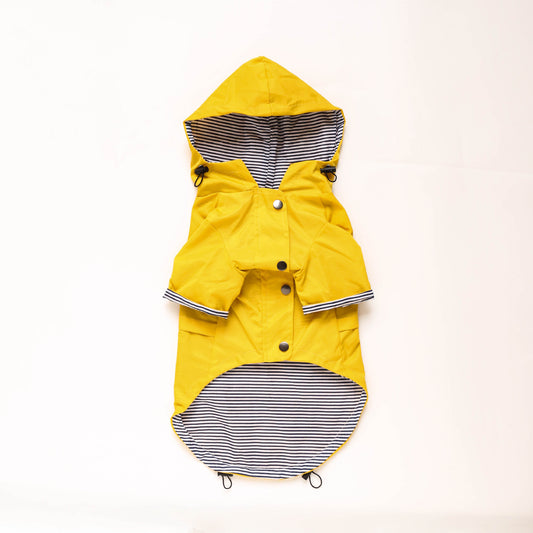 Windproof and rainproof pet jacket