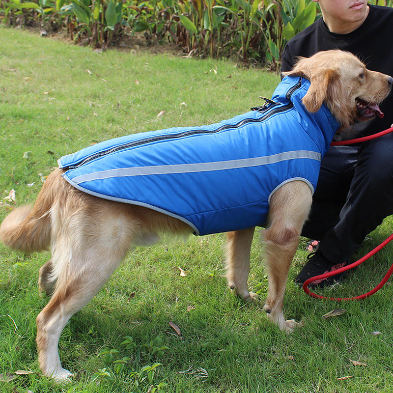 Dog clothes in autumn and winter